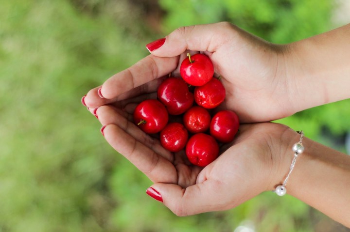 cherries-1082136_1280.jpg